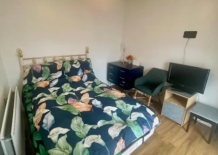 Elegant Single-Occupancy Double Bed Room