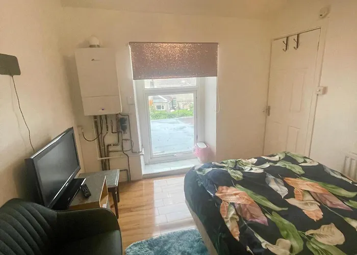 Elegant Single-Occupancy Double Bed Room