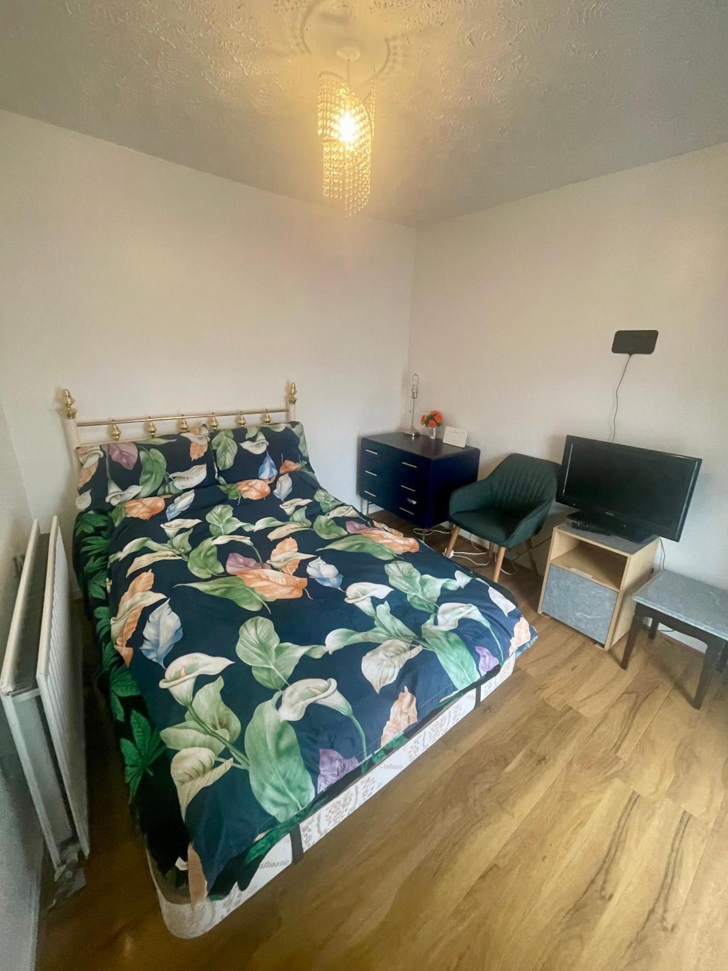 Homestay Elegant Single-occupancy Double Bed *